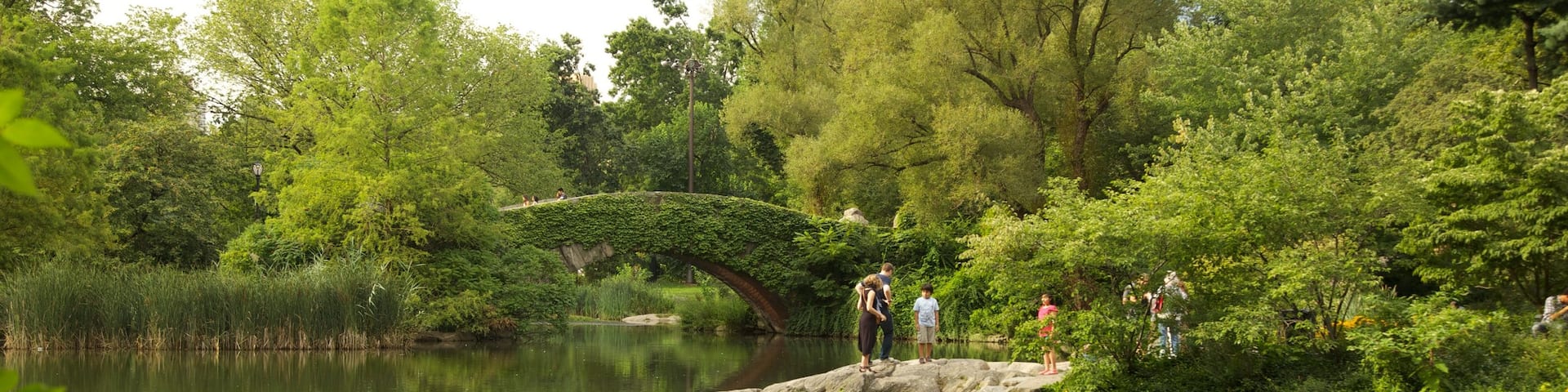Central Park showing flowers, a park and a pond