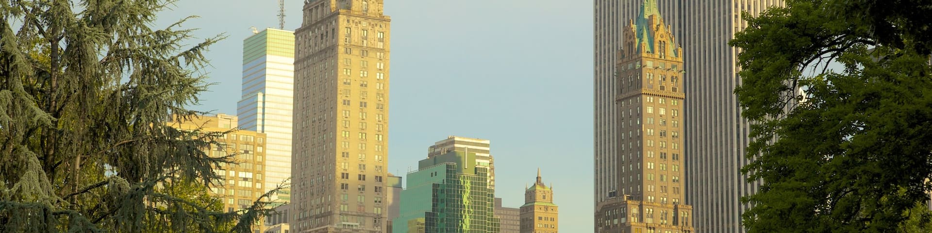 Central Park montrant jardin, silhouettes urbaines et ville