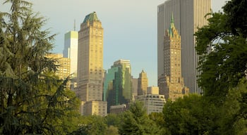 Central Park som inkluderer skyskraper, hage og by