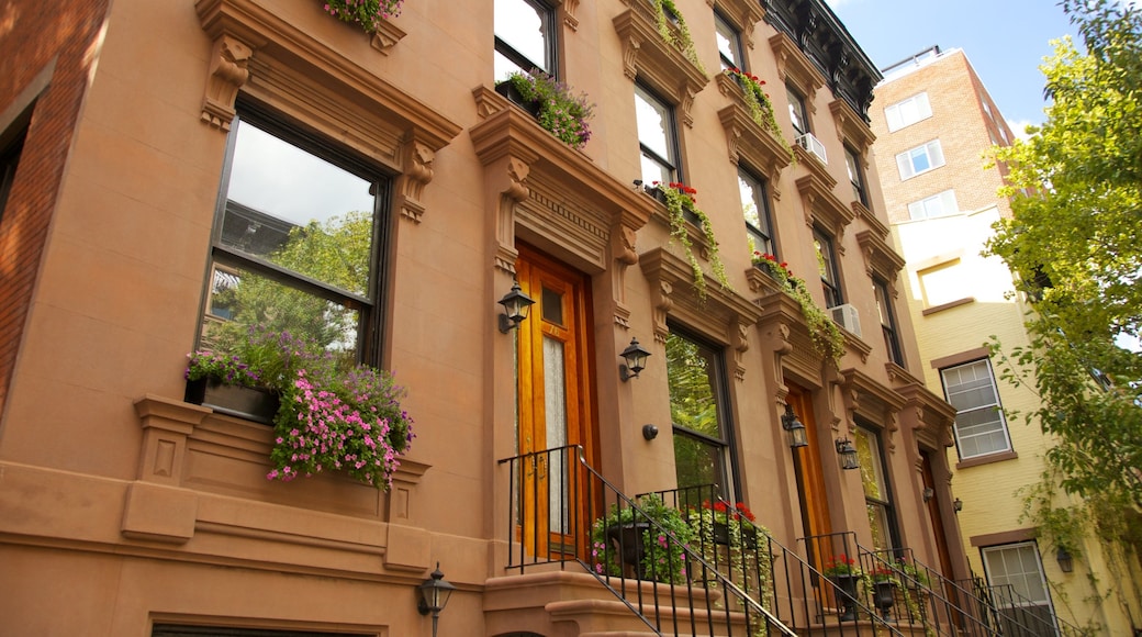 Brooklyn showing heritage architecture and a city