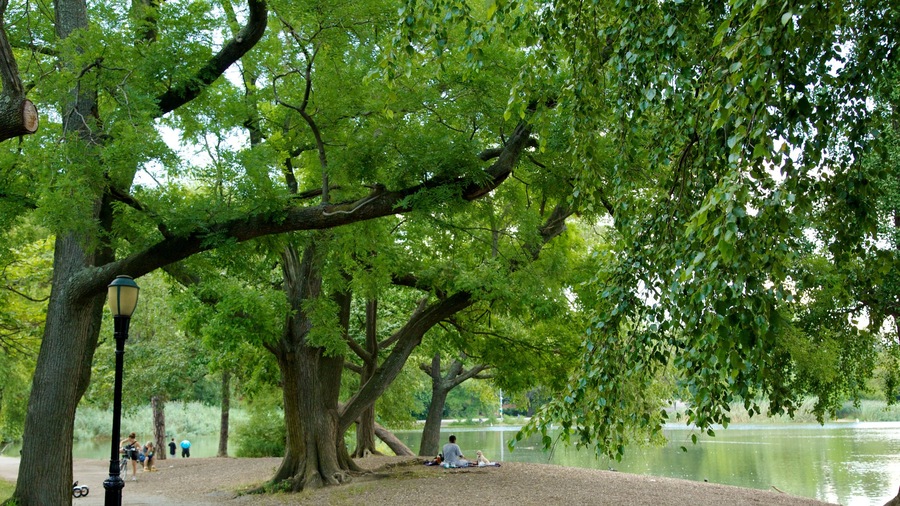 Brooklyn ofreciendo jardín, bosques y un estanque