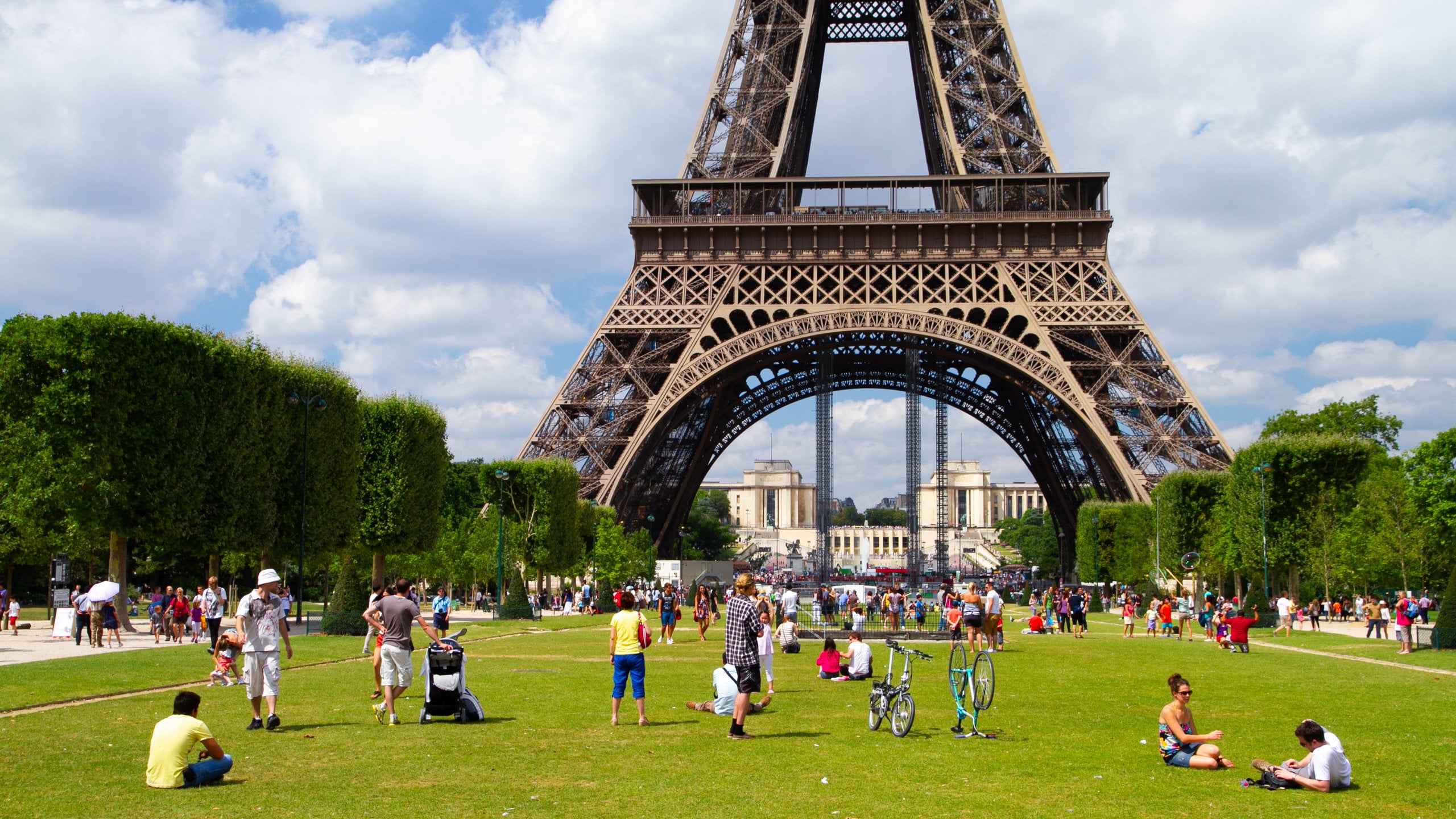 Eiffel Tower showing a park and a city as well as a large group of people