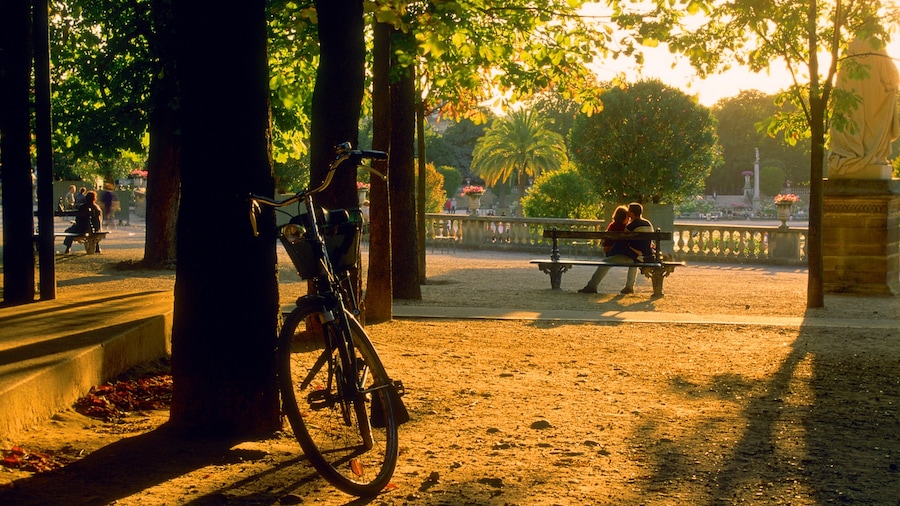 Giardini di Lussemburgo che include giardino e tramonto cosi come coppia