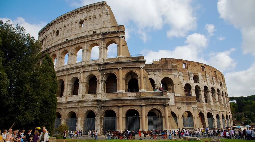 Colosseum showing a monument, a city and a ruin