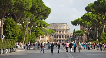 Colosseum som viser et monument, historiske bygningsværker og en by