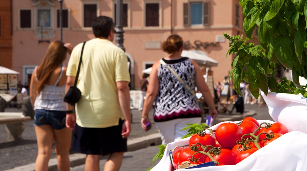 Visit Parione: Best of Parione, Rome Travel 2023 | Expedia Tourism