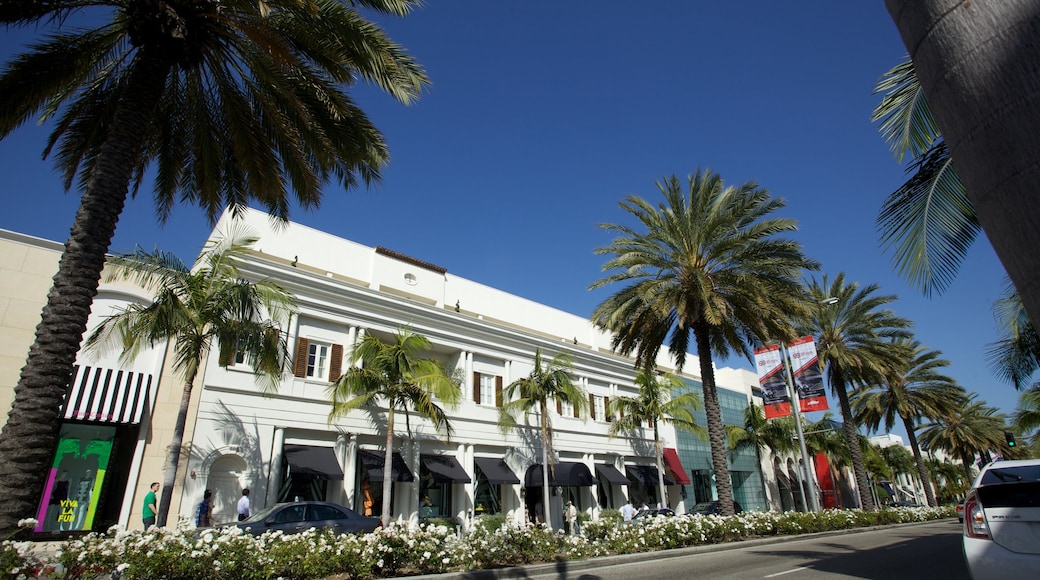 Rodeo Drive which includes a city, street scenes and tropical scenes