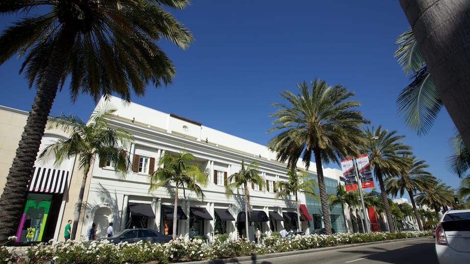 Rodeo Drive which includes street scenes, a city and tropical scenes