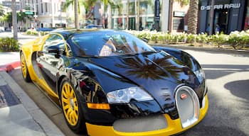 Rodeo Drive mostrando imágenes de calles