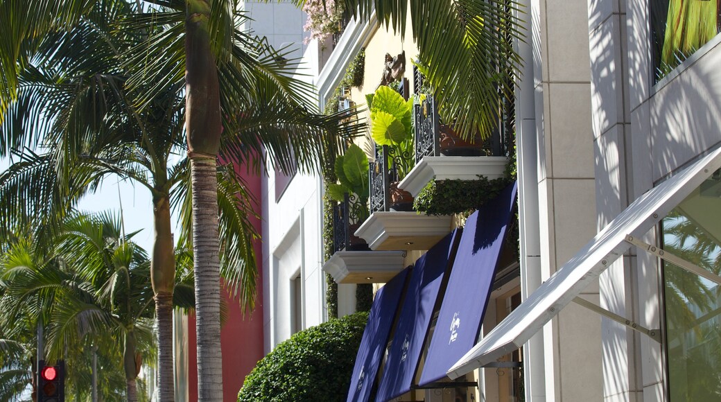 Rodeo Drive which includes a city