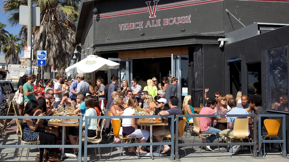 Venice Beach som visar gatuliv, en stad och skyltar