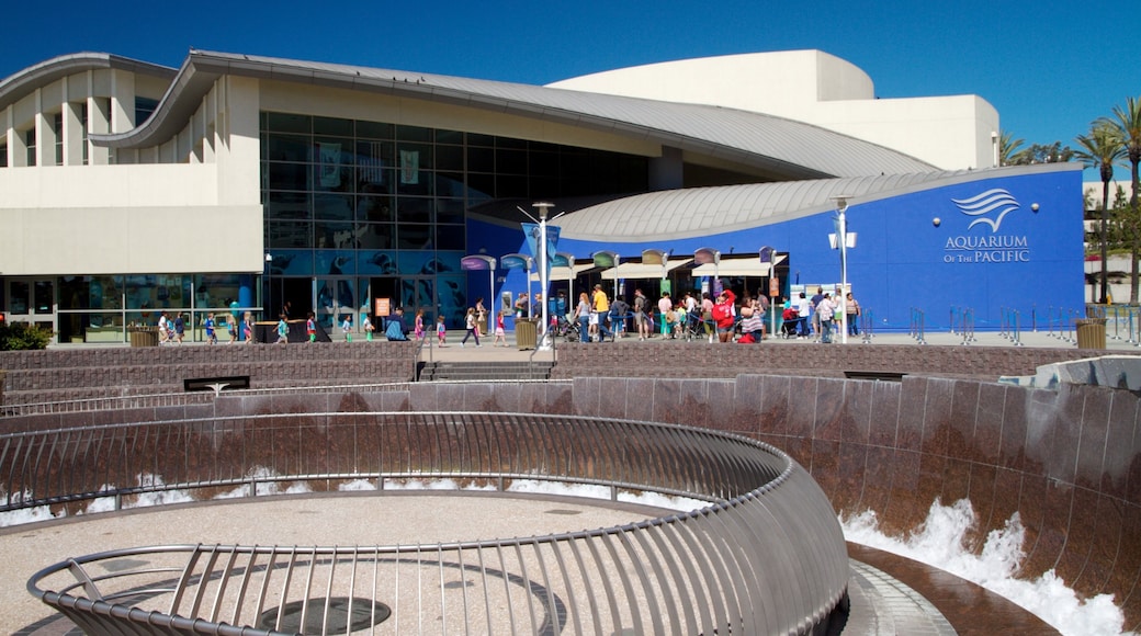 Aquarium of the Pacific mettant en vedette ville et vie marine