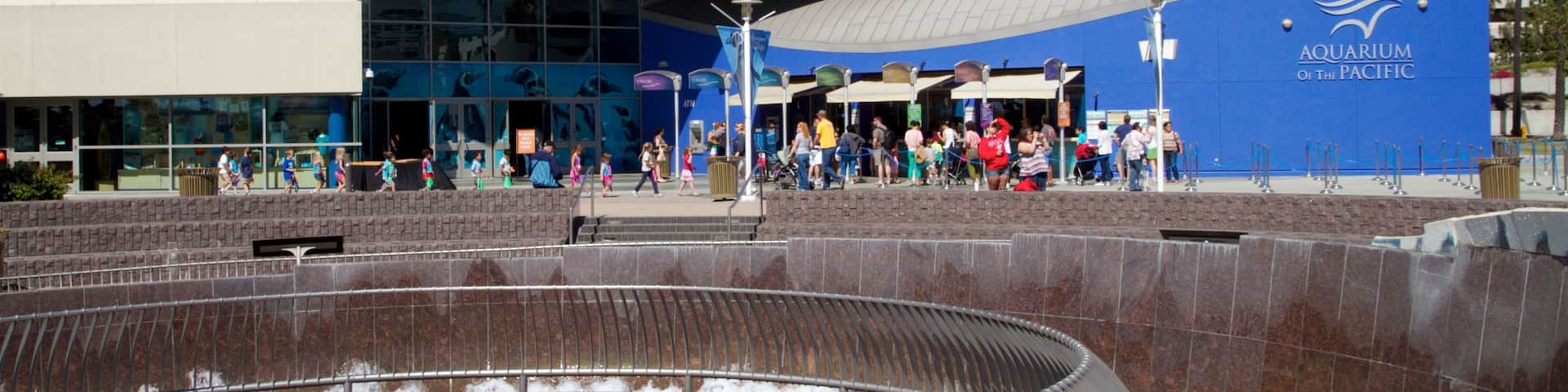 ロングビーチ太平洋水族館 どの含み 都市 と 海洋生物