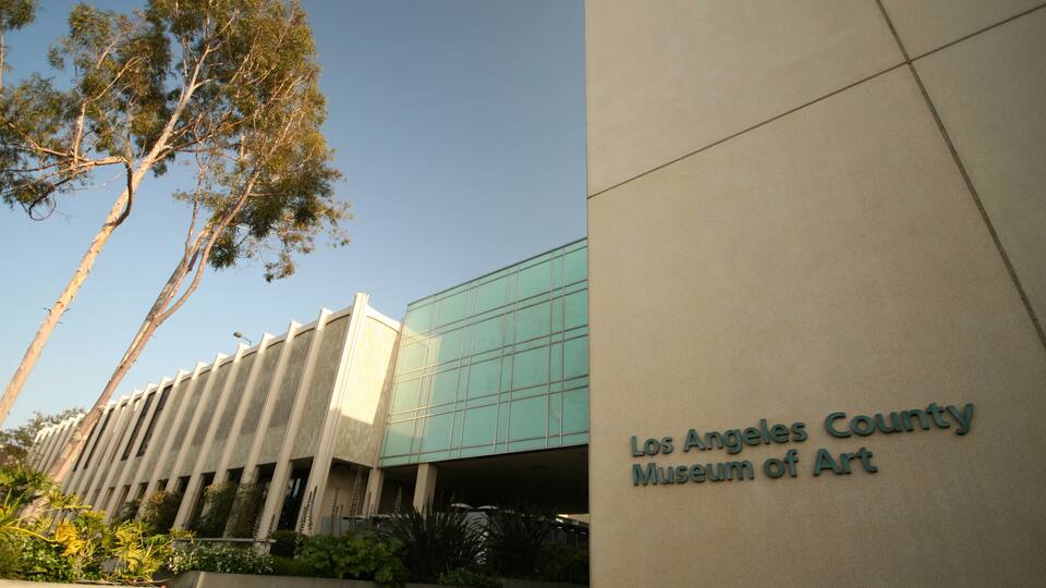 Los Angeles County Museum of Art showing modern architecture
