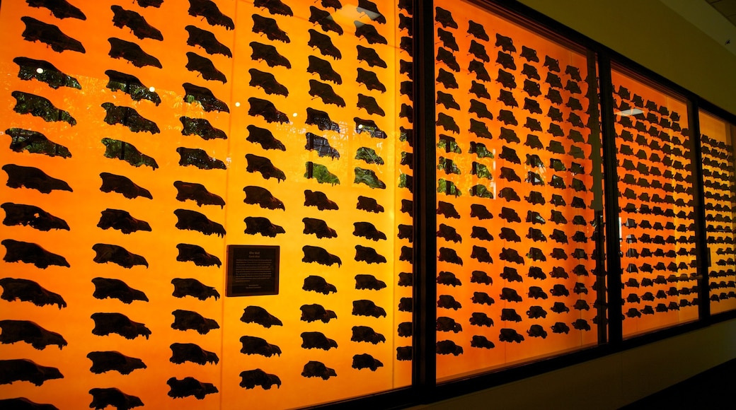 La Brea Tar Pits which includes interior views