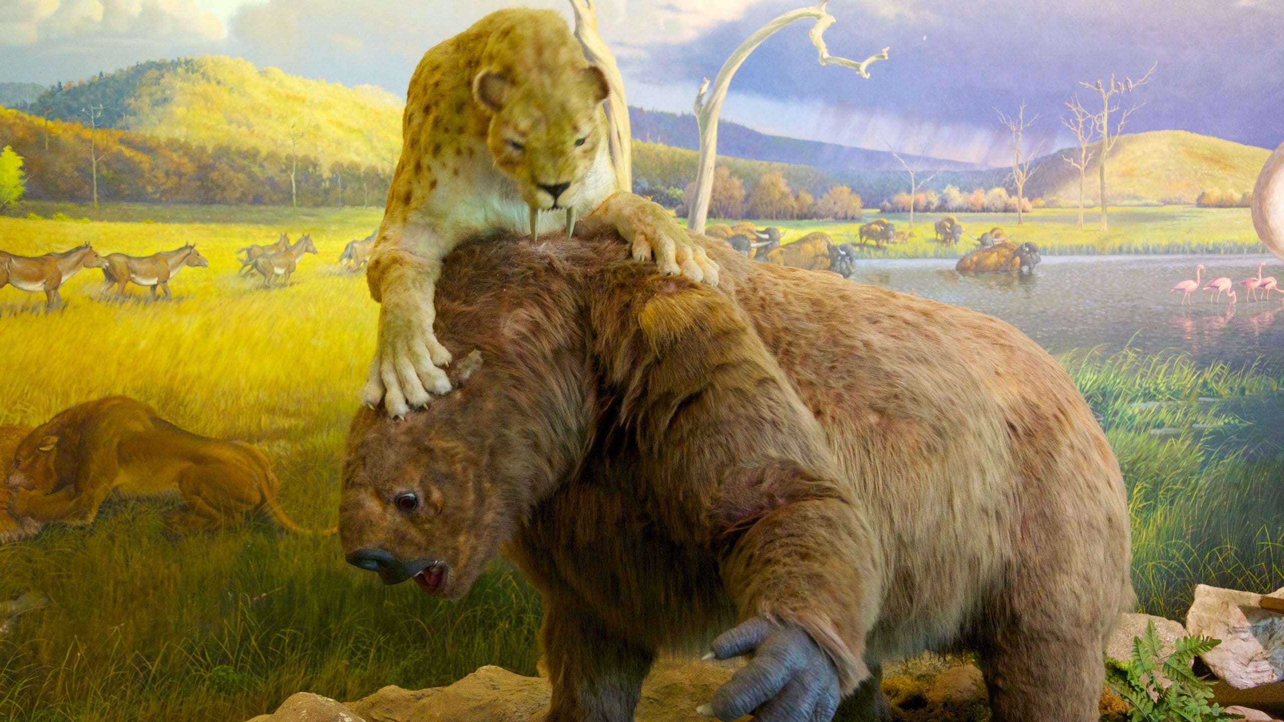 La Brea Tar Pits, Los Angeles Vacation Rentals house rentals & more Vrbo