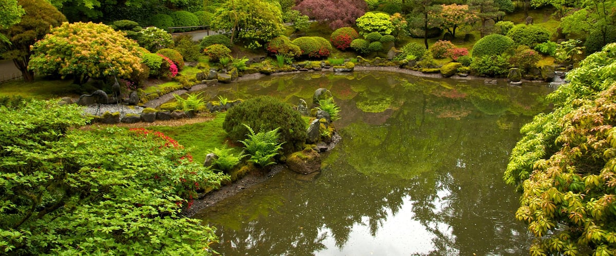 Portland Japanese Garden featuring a pond, a park and landscape views