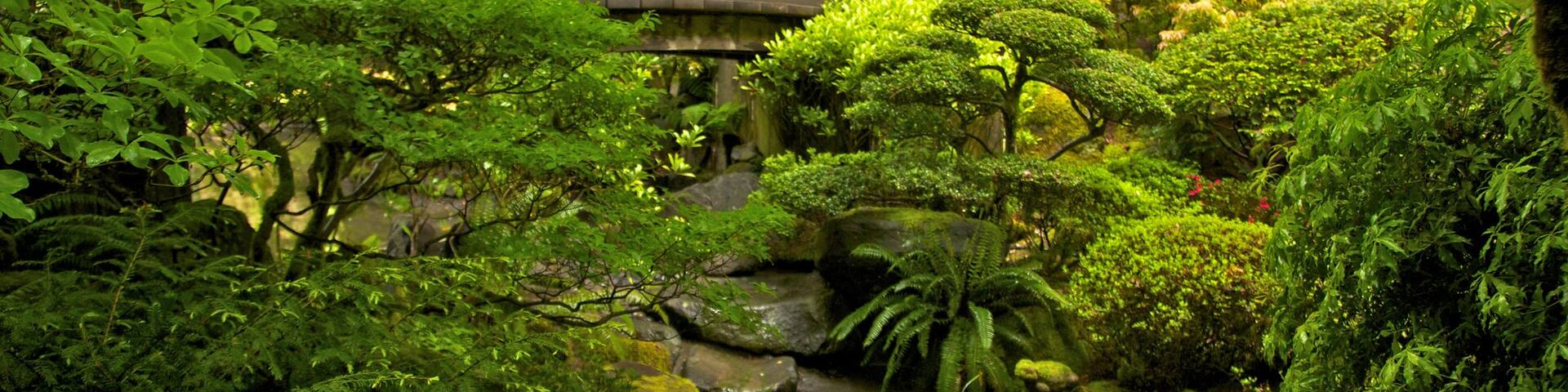 Portland Japanese Garden showing a bridge, landscape views and forest scenes