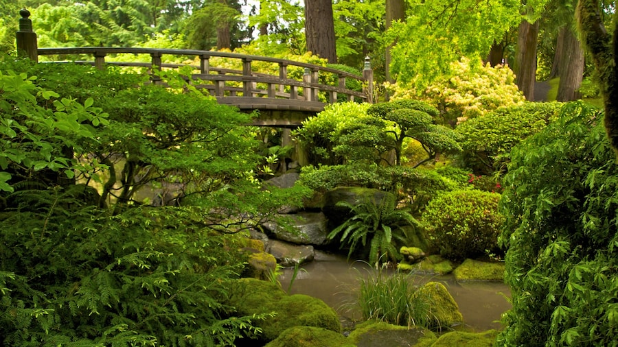 Portland Japanese Garden which includes a garden, landscape views and a bridge