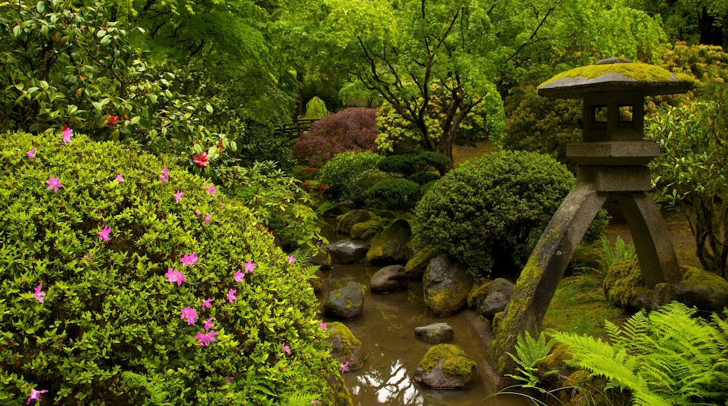Portland Japanese Garden showing landscape views and a garden