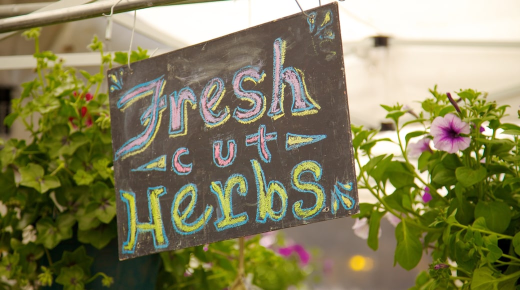 Pike Place Market featuring wild flowers, signage and markets