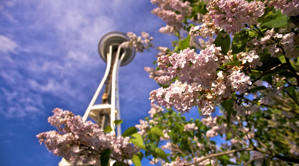 Tháp Space Needle có tính năng kiến trúc hiện đại, hoa và hoa dại