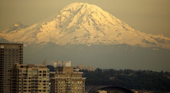 Kerry Park featuring landscape views, mountains and a city