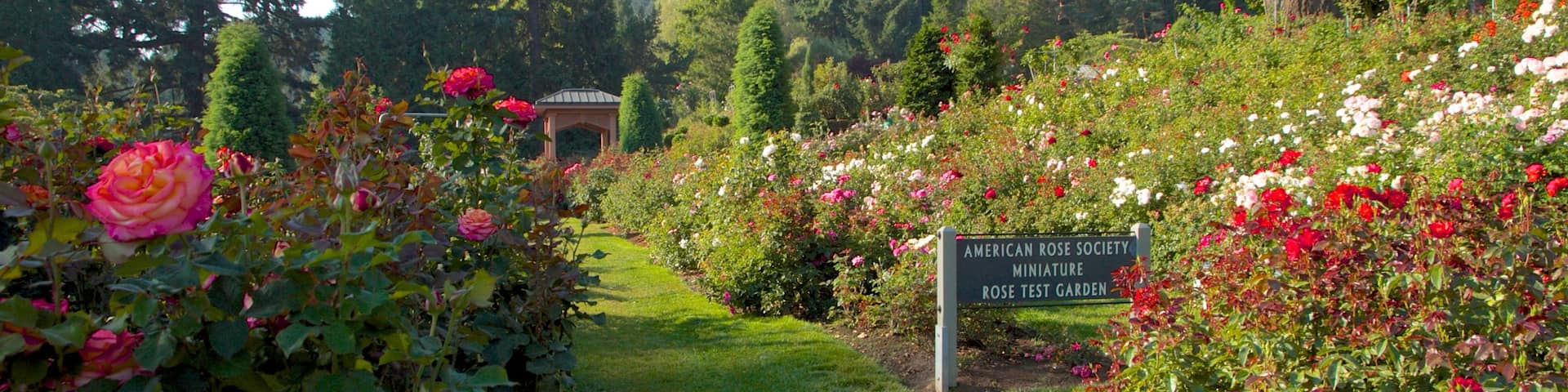 International Rose Test Garden featuring wildflowers, a garden and landscape views
