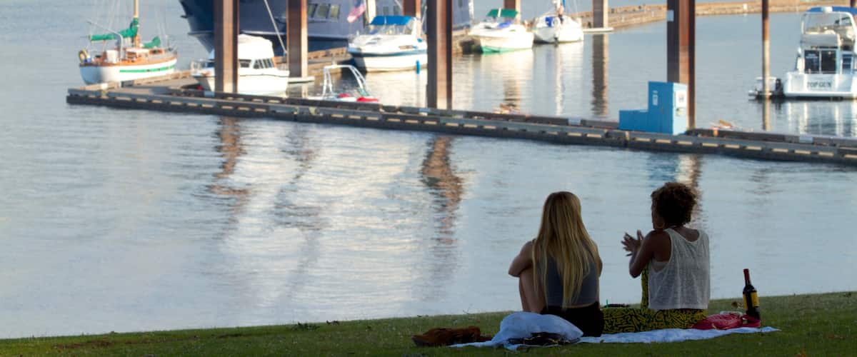 Downtown Portland - South Waterfront showing picnicing, boating and a bay or harbor