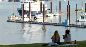 Downtown Portland welches beinhaltet Bucht oder Hafen, Bootfahren und Picknicken