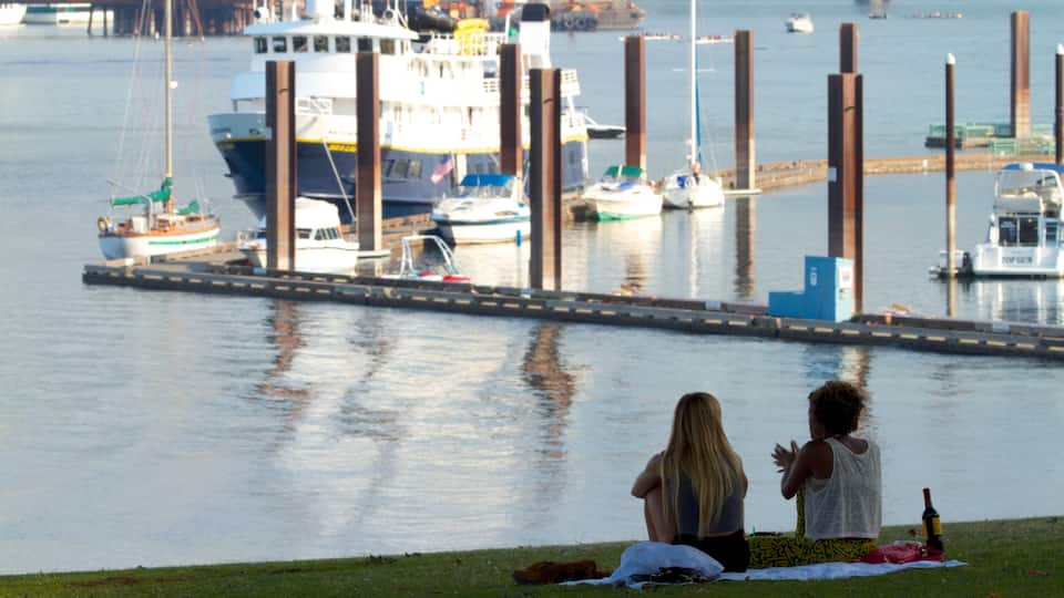 Centro de Portland ofreciendo ir de pícnic, una bahía o puerto y paseos en lancha