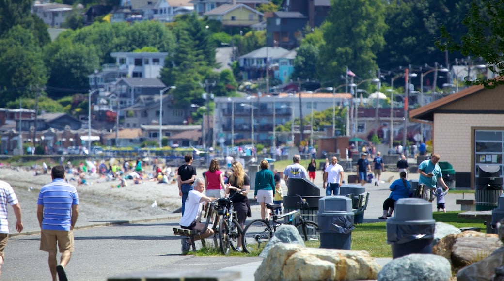 Alki Beach featuring general coastal views as well as a small group of people