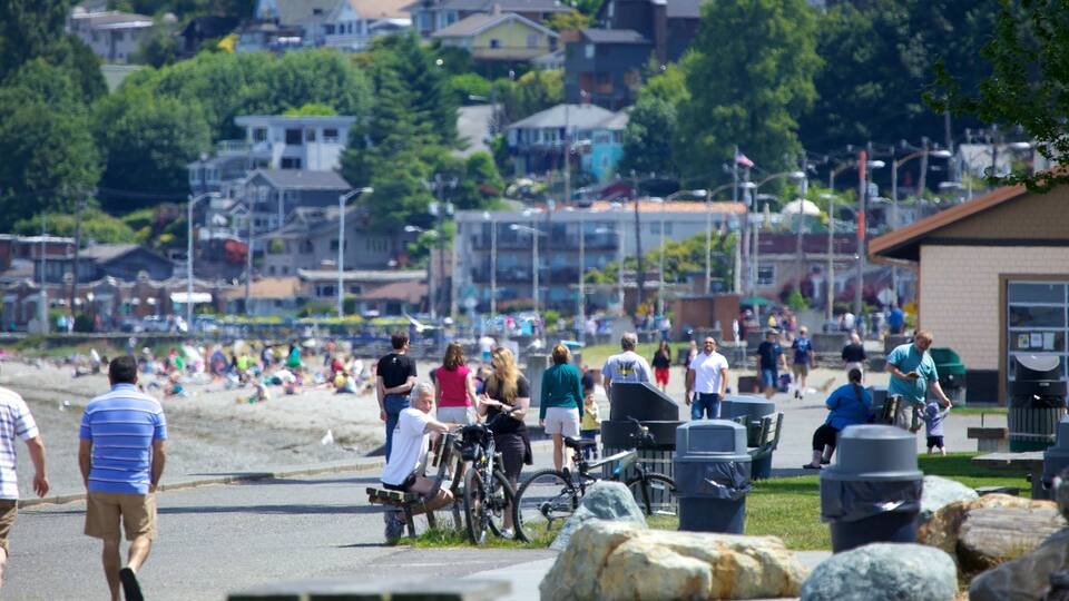 Alki Beach featuring general coastal views as well as a small group of people