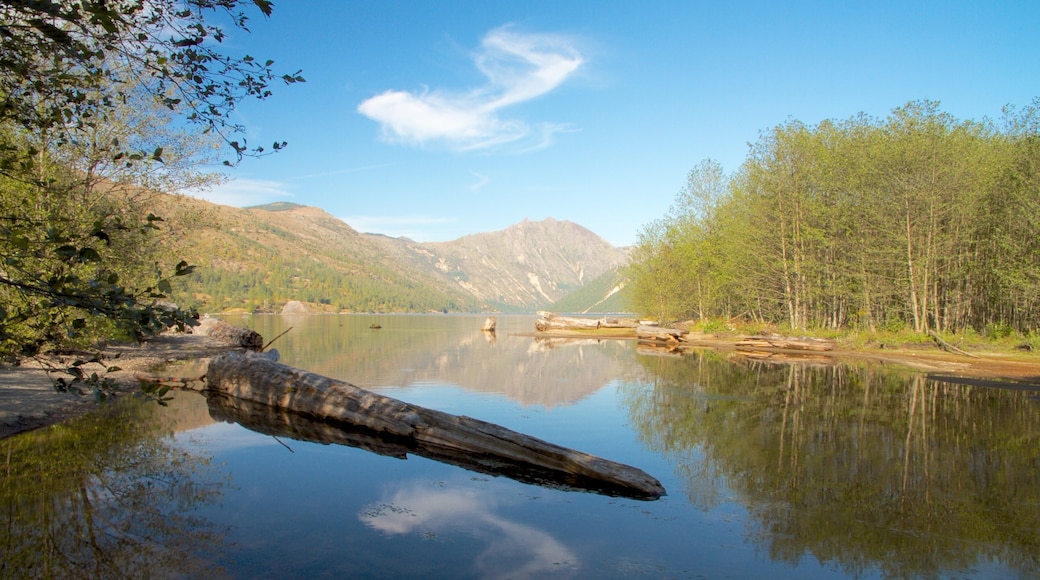 Mount St. Helens which includes a lake or waterhole, mountains and forest scenes