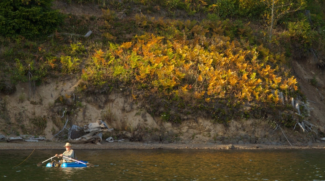 Mount St. Helens showing landscape views, a lake or waterhole and kayaking or canoeing