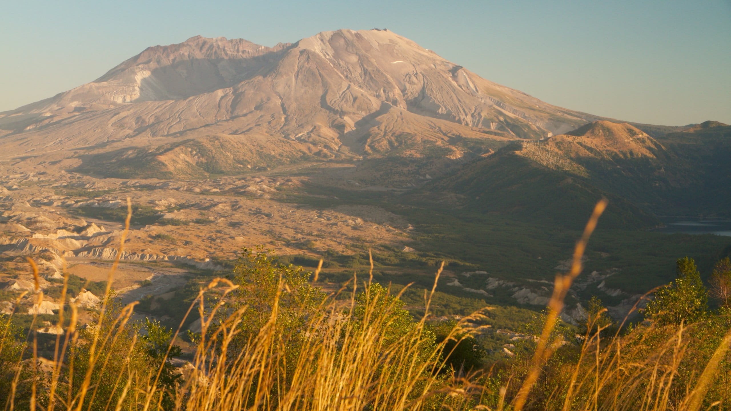 Lugares Para Bodas En El Monte Saint Helens Mount St Helens Elopement