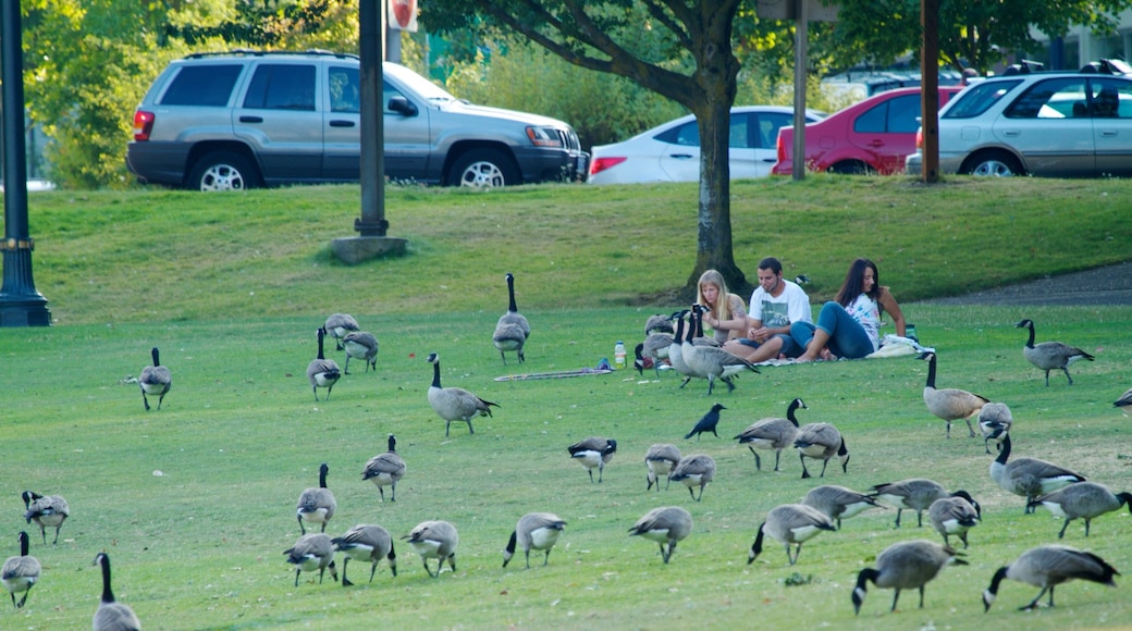 Taman Waterfront Tom McCall