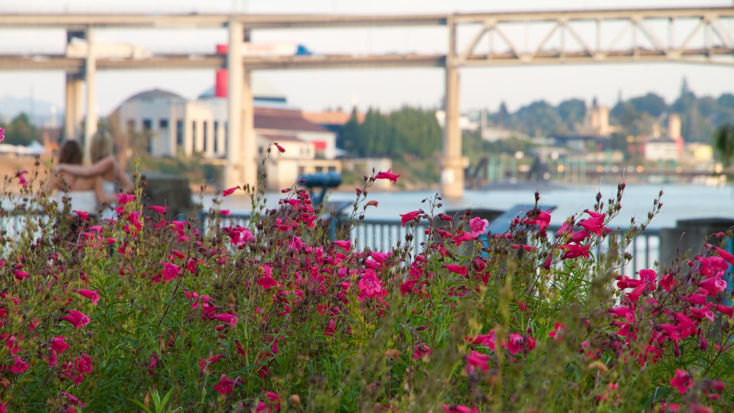 Tom McCall Waterfront Park Tours - Book Now | Expedia