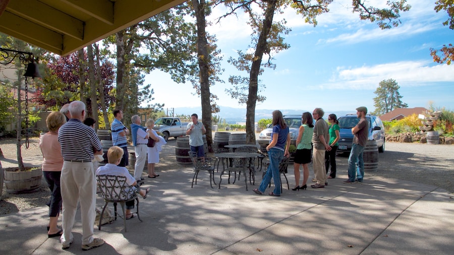 Cooper Mountain Vineyards que incluye vista panorámica y también un gran grupo de personas