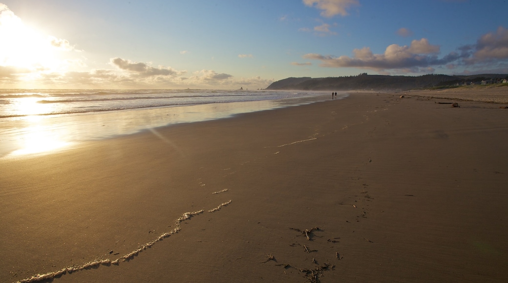 Cannon Beach montrant panoramas et plage de sable