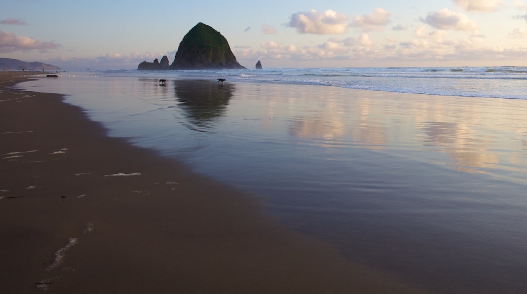 Cannon Beach featuring general coastal views