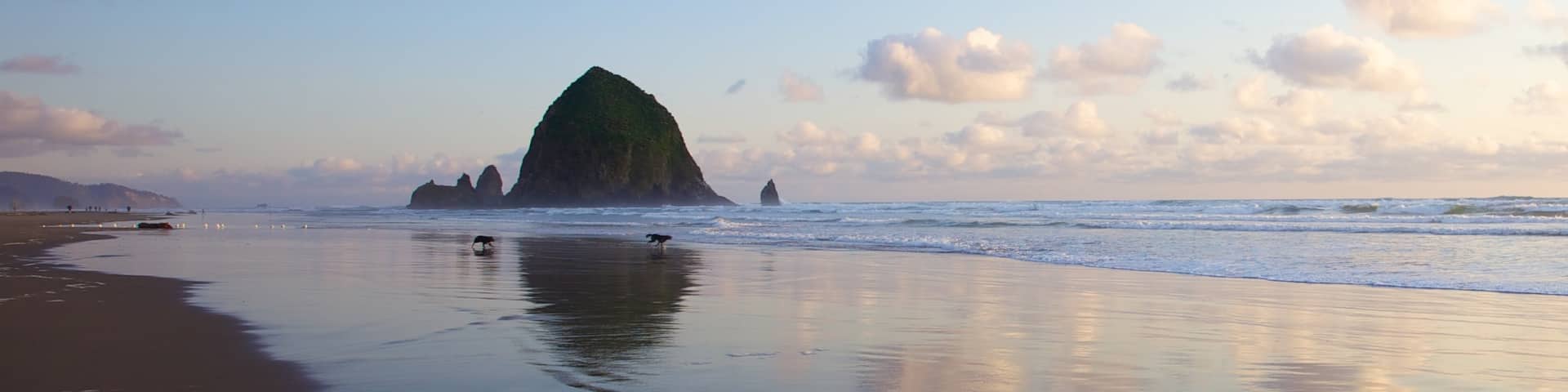 Cannon Beach featuring general coastal views