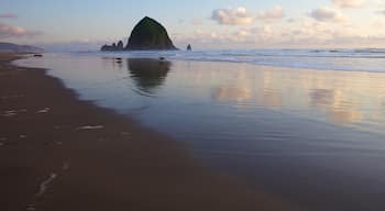 Cannon Beach featuring general coastal views