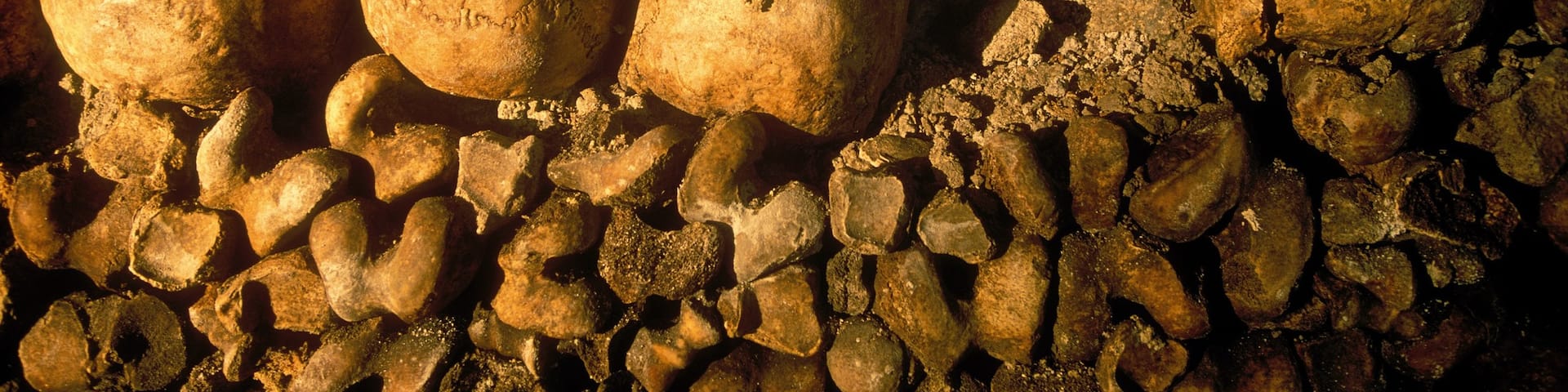 Catacumbas de París que incluye elementos del patrimonio