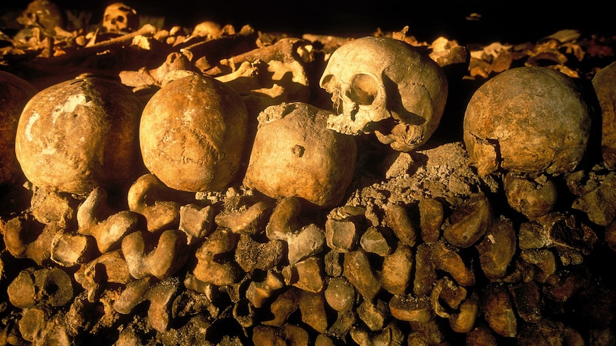 Paris Catacombs which includes heritage elements