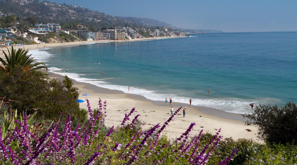 Laguna Beach ofreciendo vistas panorámicas, una localidad costera y flores