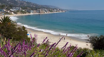 Laguna Beach which includes flowers, landscape views and a coastal town