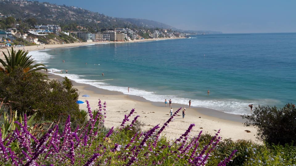 Laguna Strand som viser en strand, blomster og en kystby
