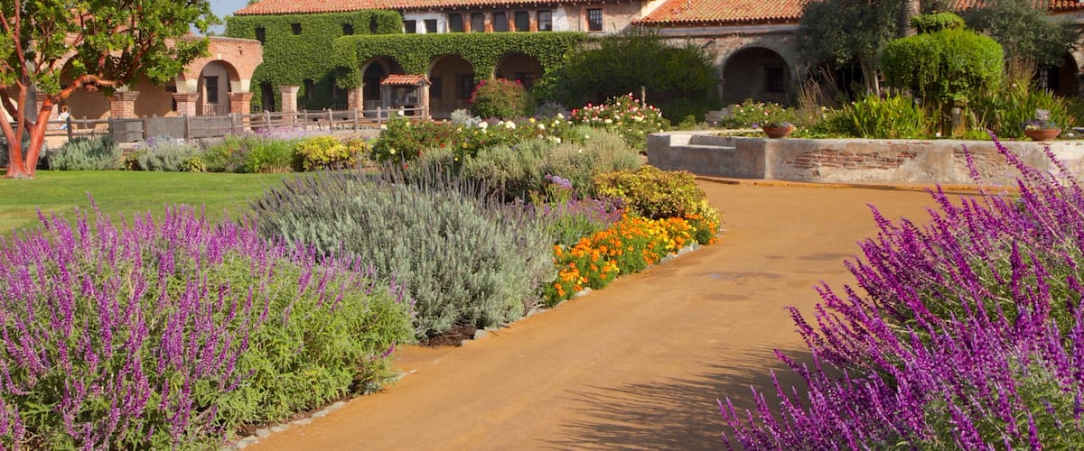 Mission San Juan Capistrano showing landscape views, flowers and religious aspects