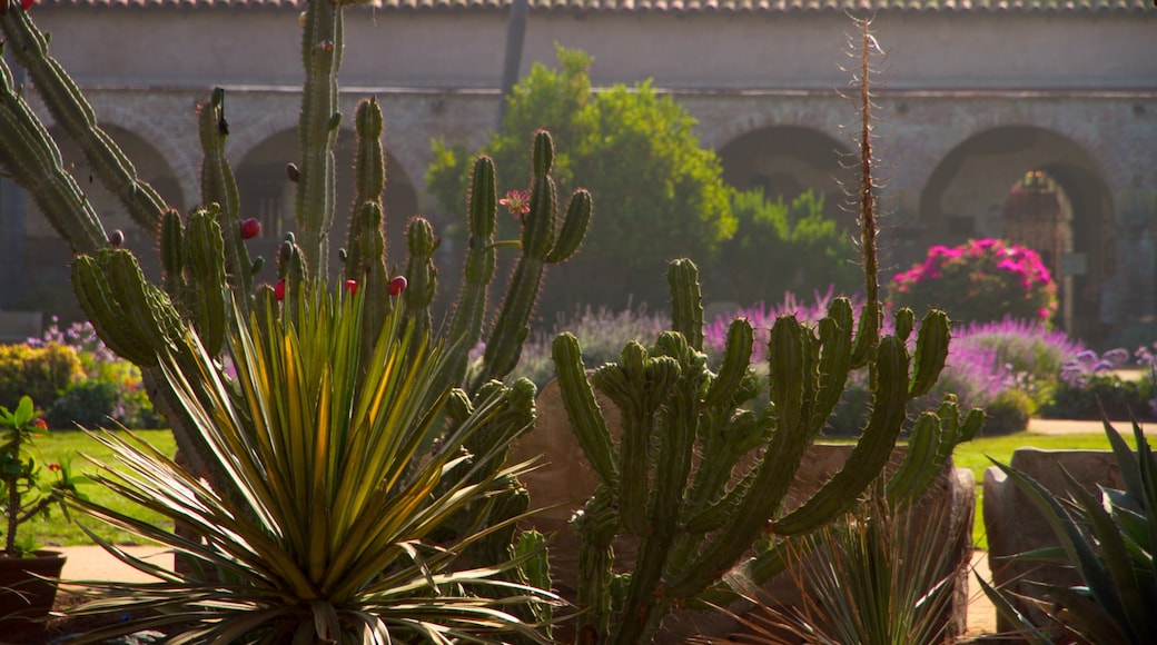 Mission San Juan Capistrano showing a park and flowers